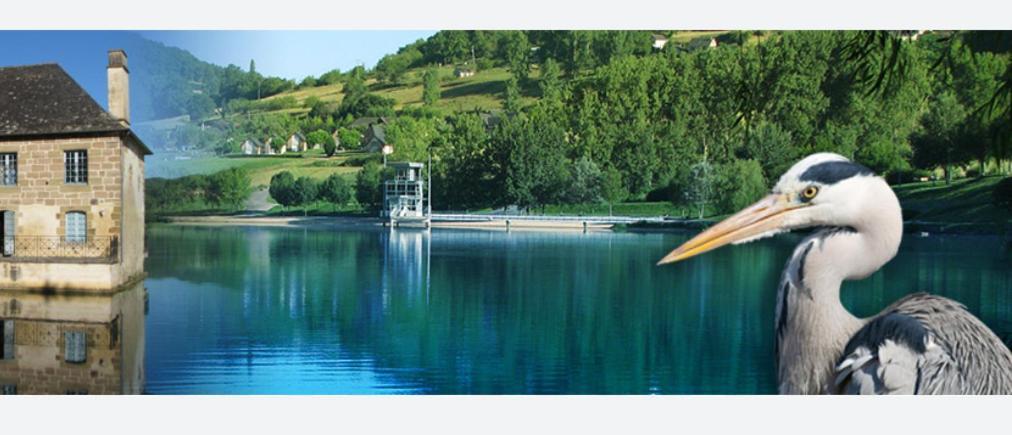 En Toute Quietude Lissac-sur-Couze Exteriér fotografie